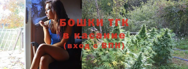 ПСИЛОЦИБИНОВЫЕ ГРИБЫ Болхов