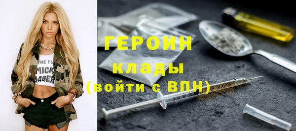 прущие грибы Болотное