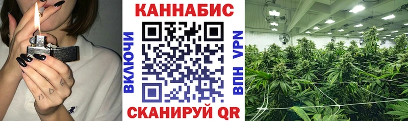 Купить  Зерноград  Канабис THC 21% 